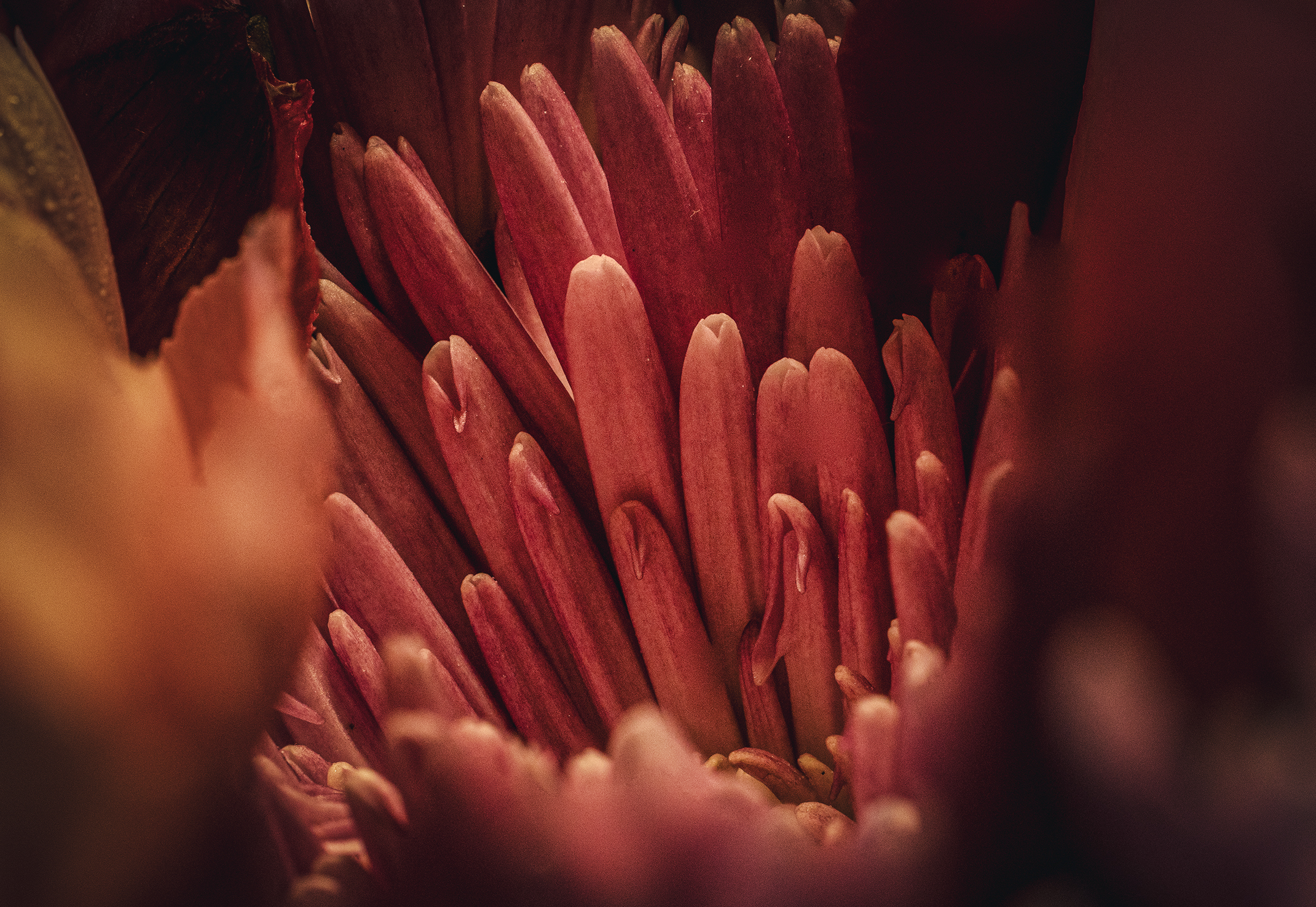 021A0045-Edit.jpg