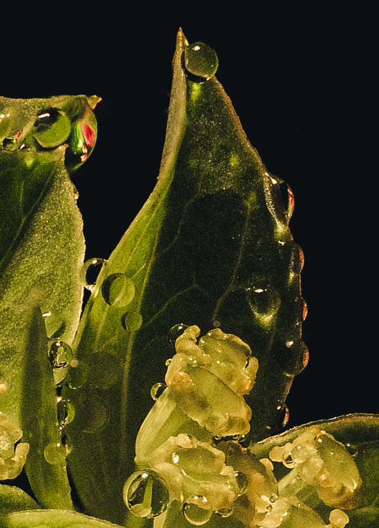 021A0178-Edit.jpg