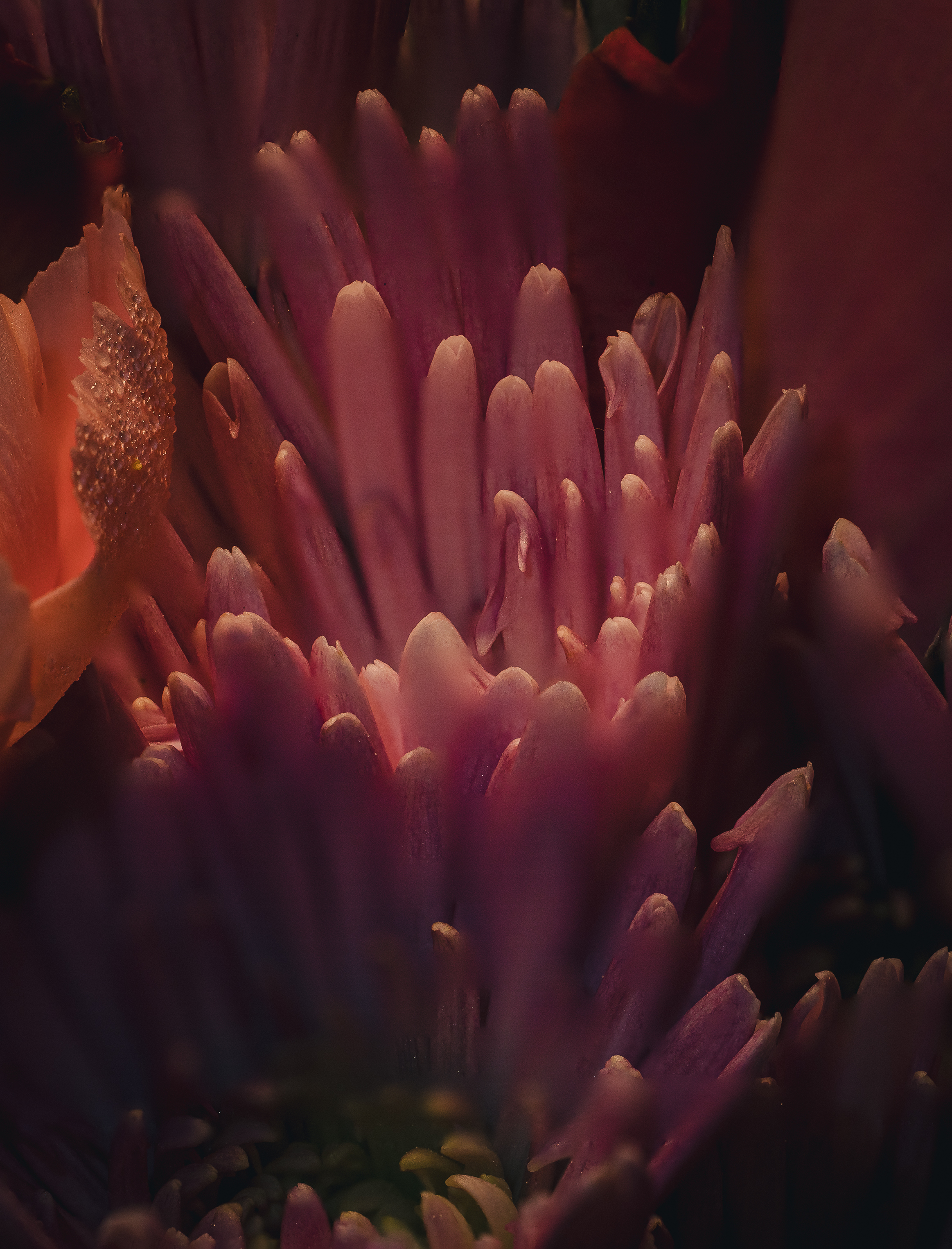 021A0328-Edit.jpg