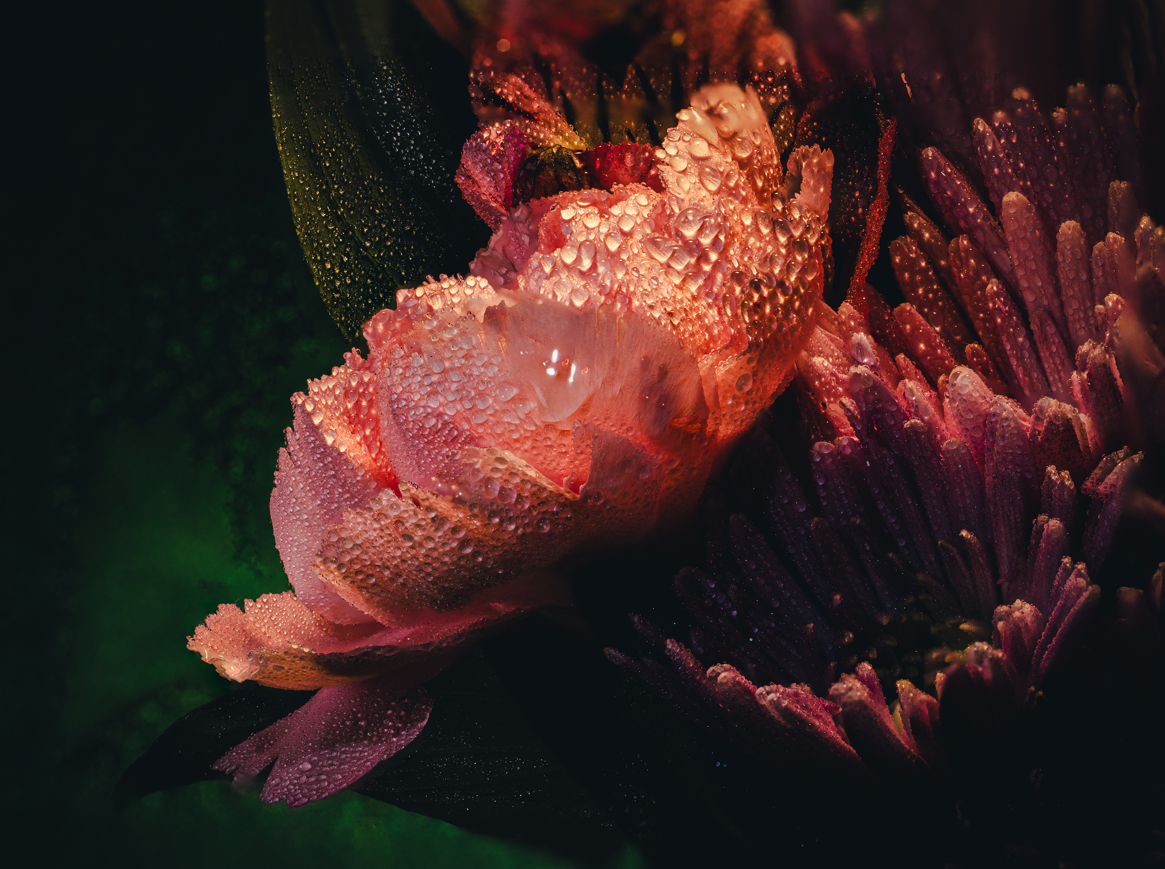 021A0553-Edit.jpg