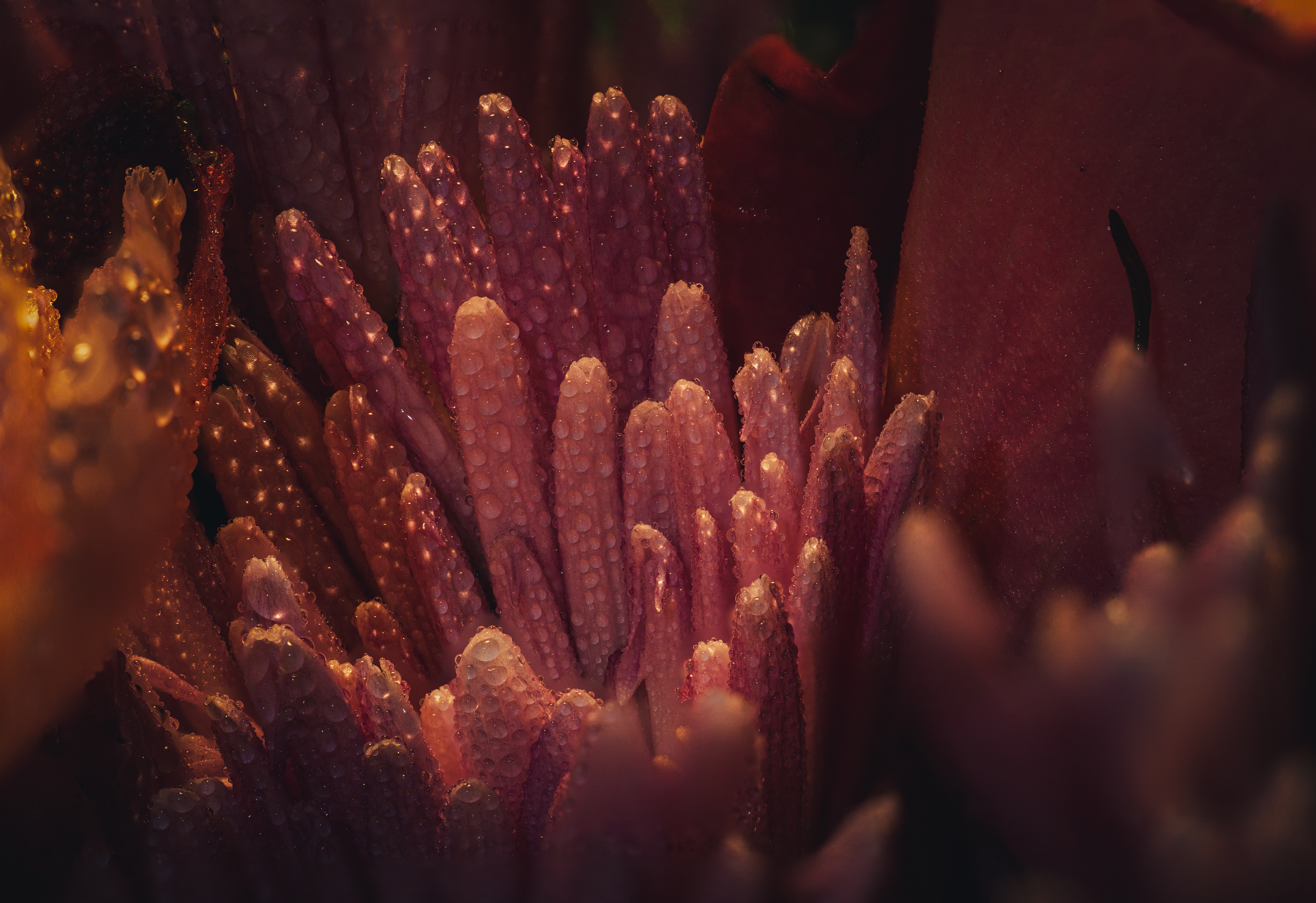 021A0695-Edit.jpg