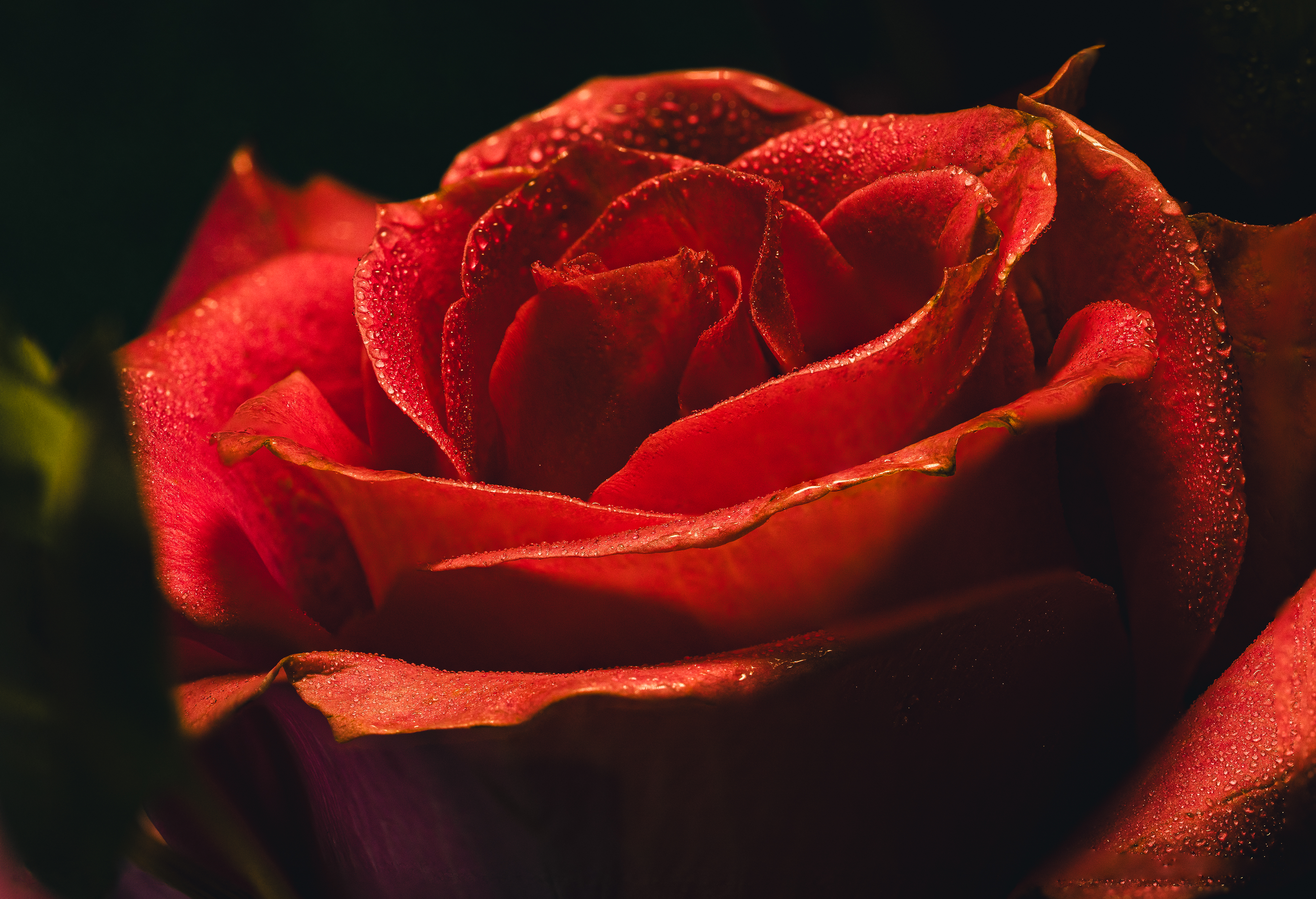 021A8366-Edit.jpg