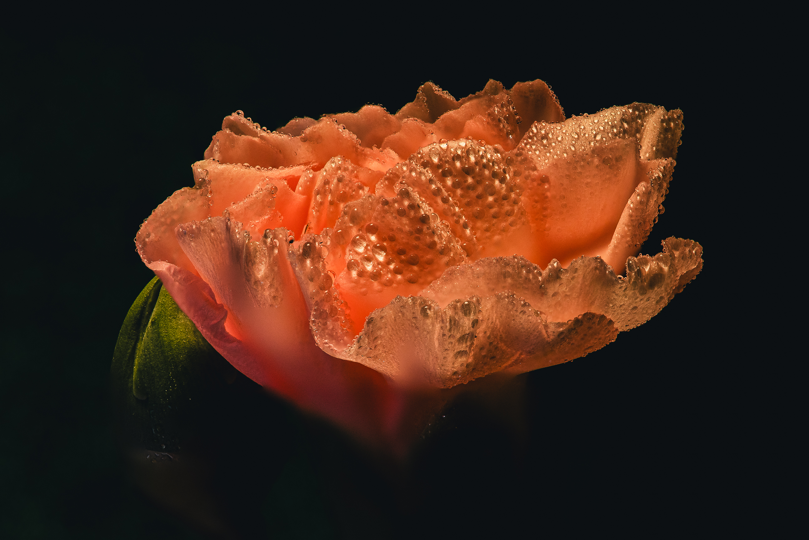 021A8416-Edit-2.jpg