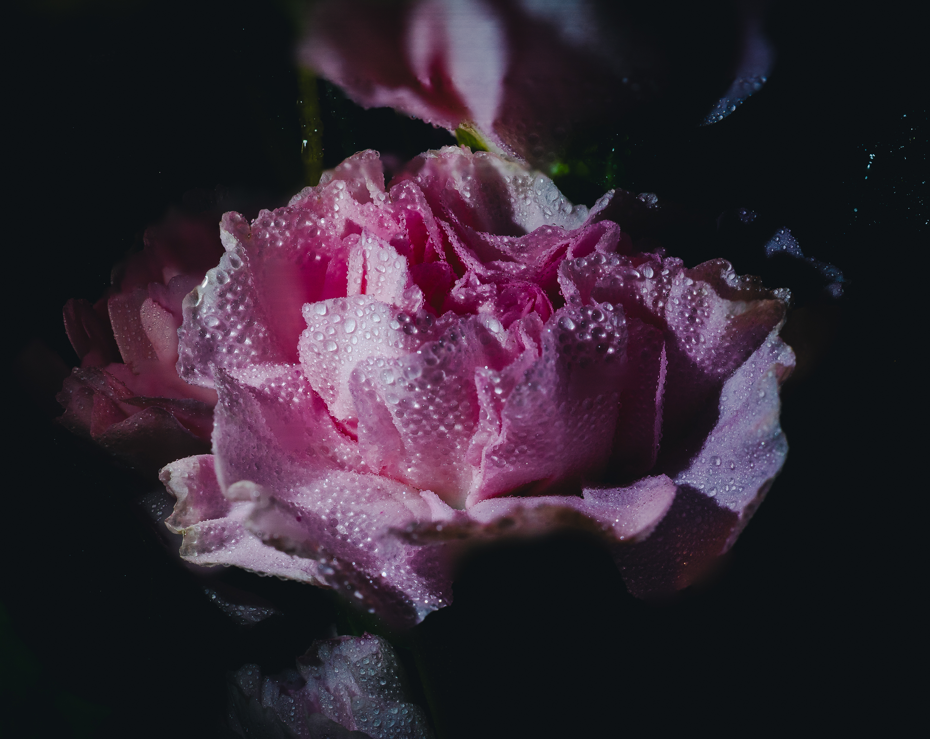021A9480-Edit.jpg