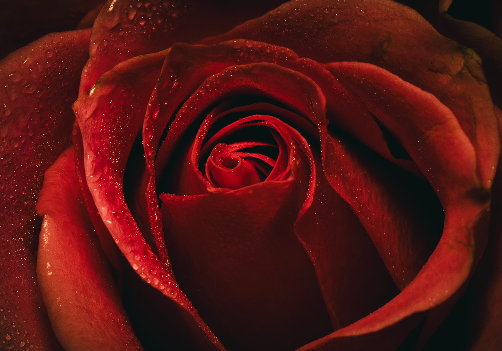 021A9846-Edit.jpg