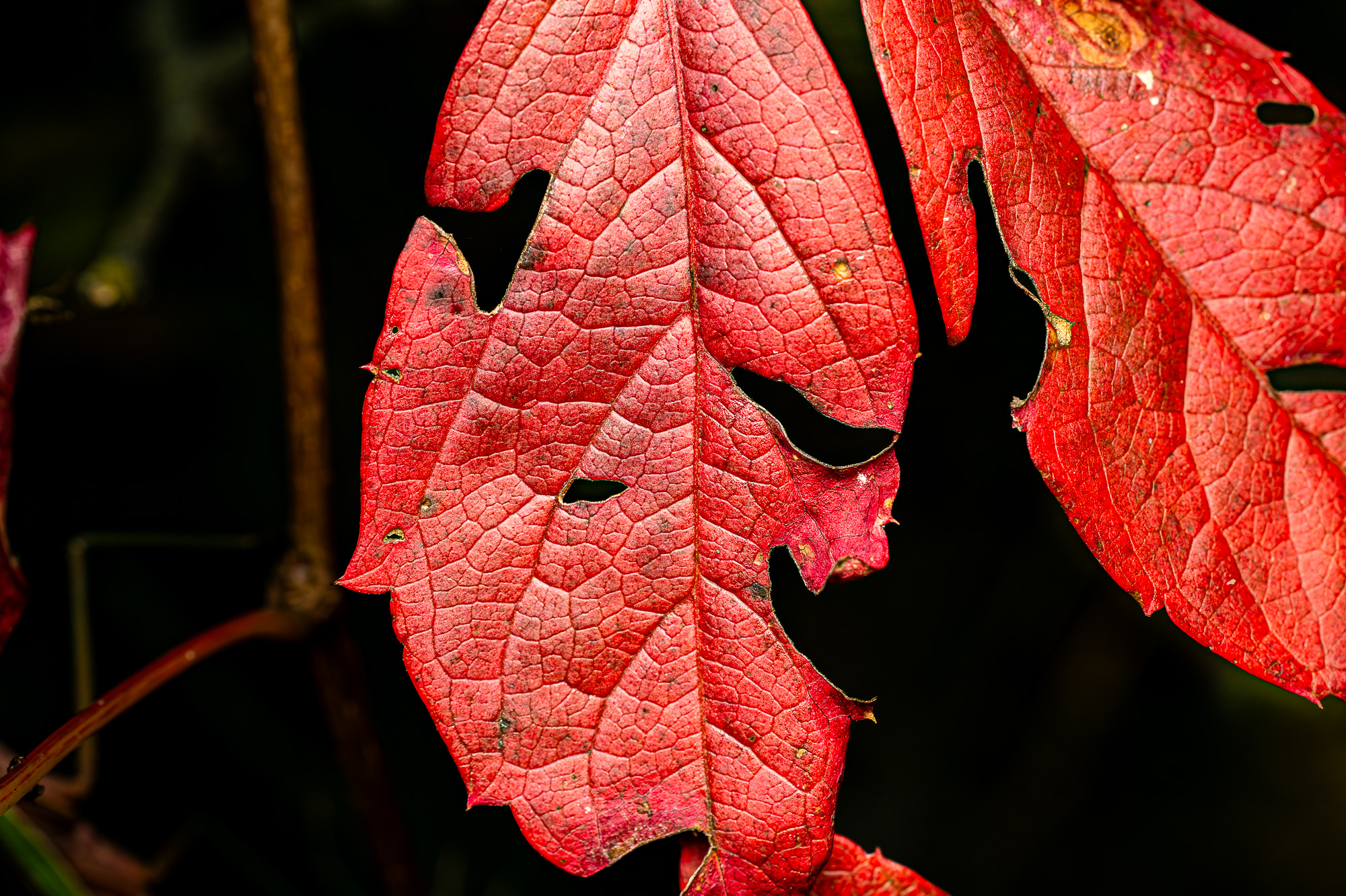 IMG_5112.jpg