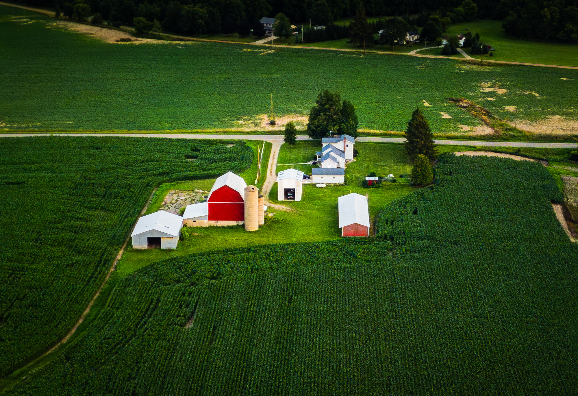 DJI_0183.jpg