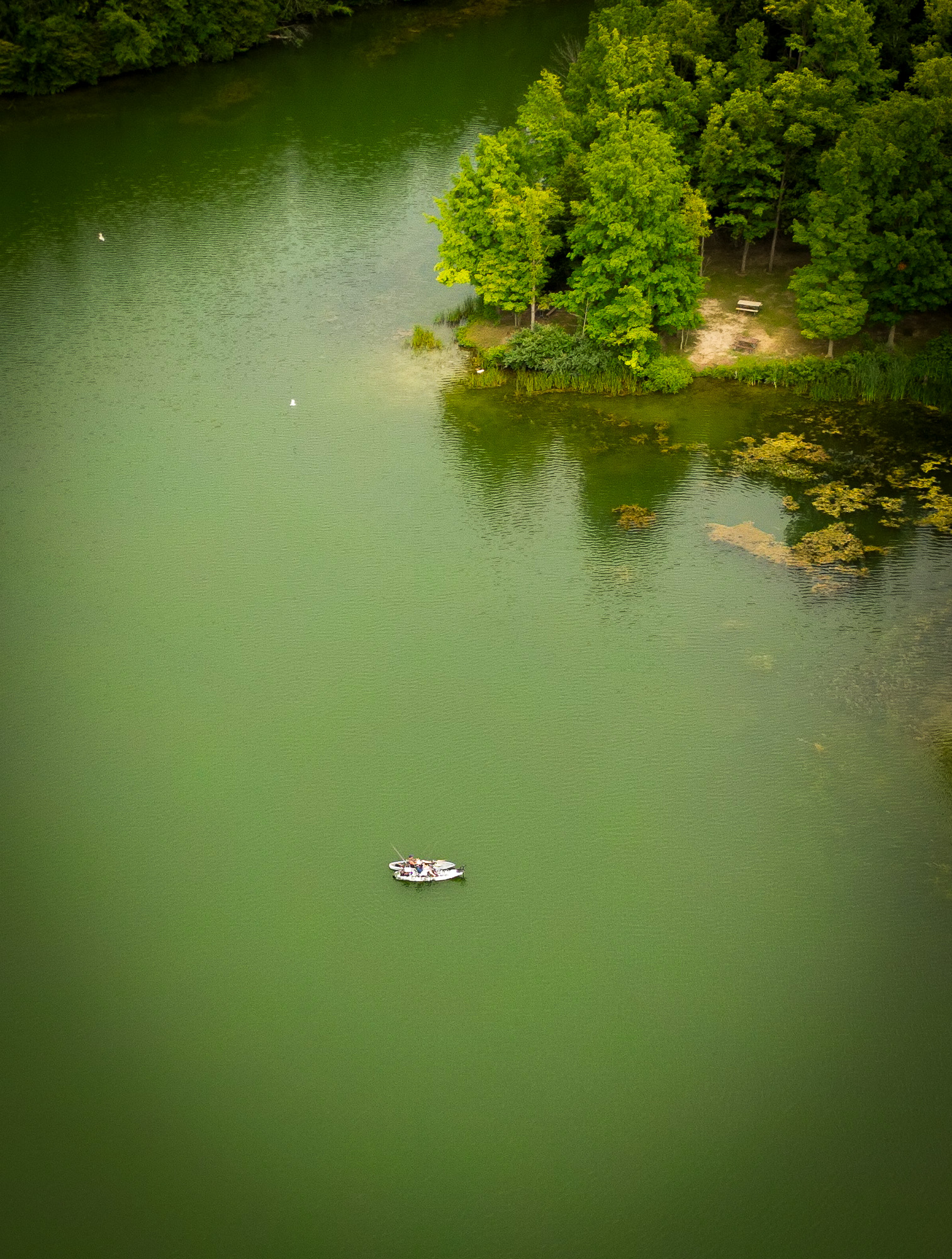 dji_fly_20250725_220106_313_1754085573562_photo.jpg